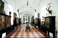 Kunst- und Wunderkammer © Dommuseum/J. Kral Möchte Belegexemplar