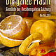 Die ganze Pracht. Gemälde der Residenzgalerie Salzburg Bis 26.6.2011