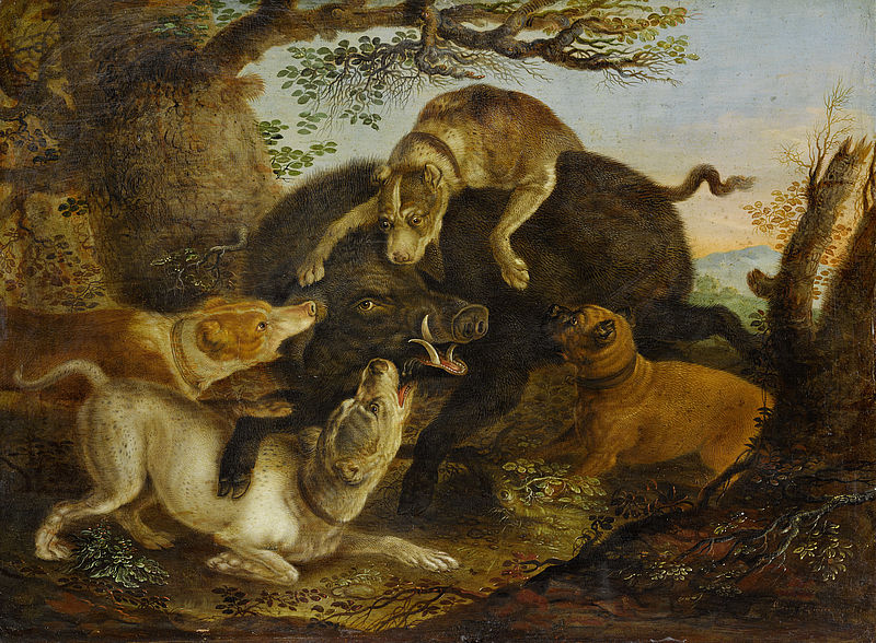 Boar Hunt
