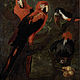 Parrots (scarlet macaw, grey parrot and toucan)