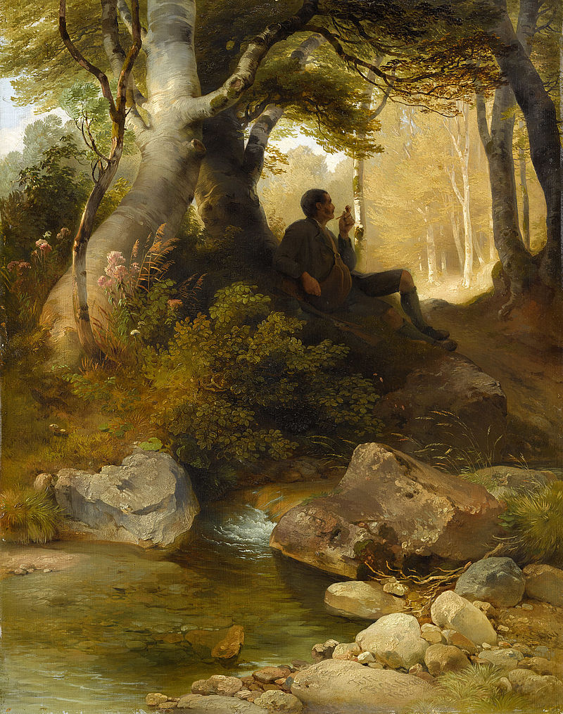 Woodland tranquillity