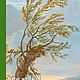Natur wird Bild. Österreichische Barocklandschaften 30.7.2021-31.1.2022