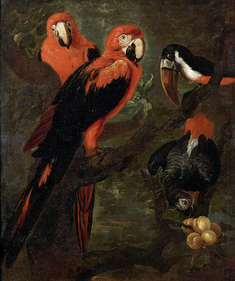 © Residenzgalerie Salzburg, Aufnahme Fotostudio Ulrich Ghezzi, Oberalm Papageien (Scharlacharas, Graupapagei und Tukan)