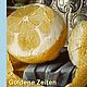 Goldene Zeiten. Holländische Malerei des 17. Jahrhunderts 3.8.2019-12.1.2020
(Golden Times. 17th-century Dutch painting 3.8.2019-12.1.2020)