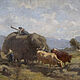 Hay Harvest