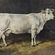 Cow in the Stable