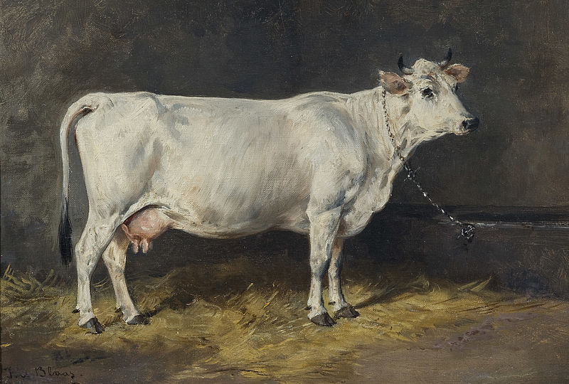Cow in the Stable