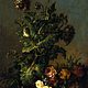 Floral Still Life. Poppy Plant with Butterfly