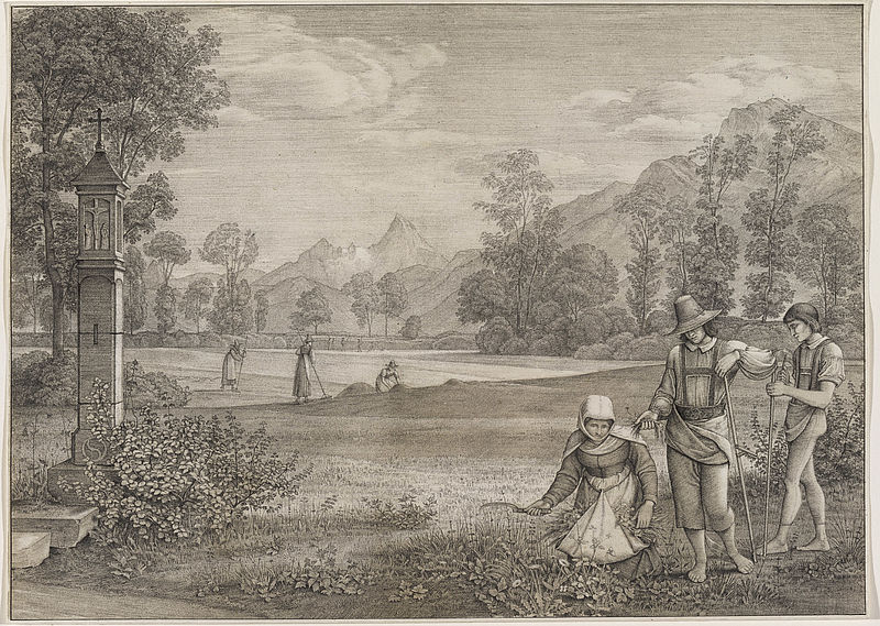 Friday, meadow in Aigen near Salzburg