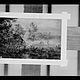 Wolfrum Glasplattennegativ - Jan Brueghel der Ältere, Dorflandschaft mit Figuren und Kühen, Inv.-Nr. 559