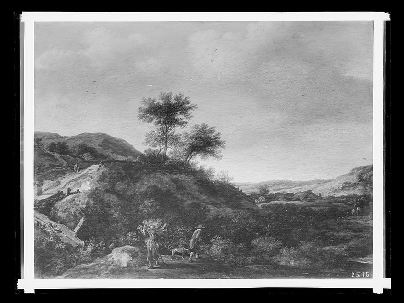 Wolfrum Glasplattennegativ - Pieter de Molijn, Dünenlandschaft, Inv.-Nr. 542