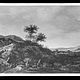 Wolfrum Glasplattennegativ - Pieter de Molijn, Dünenlandschaft, Inv.-Nr. 542