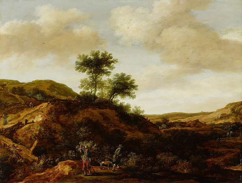 Dünenlandschaft