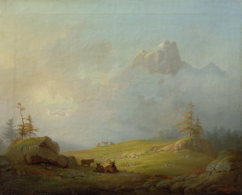 Almweide unter der Bischofsmütze