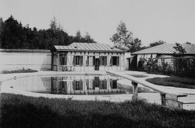 Swimmingpool von Ludwig Viktor