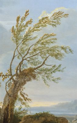 Ein Baum biegt sich im Wind unter einem bewölkten Himmel