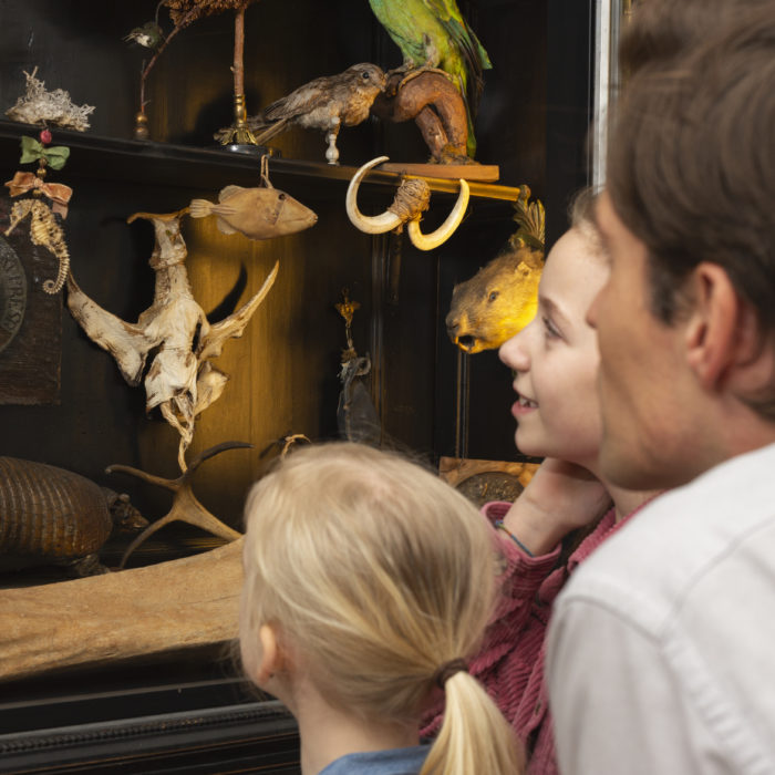 Veranstaltung KreativKids Club – Kunst zum Ausprobieren für die Kleinsten im DomQuartier Salzburg