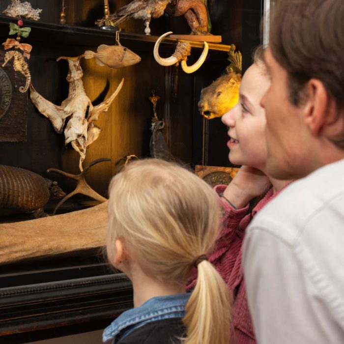 Veranstaltung KreativKids Club – Kunst zum Ausprobieren für die Kleinsten im DomQuartier Salzburg